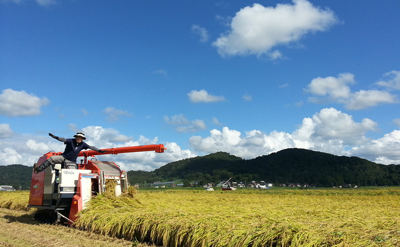 定期便 3ヶ月 米 新潟県上越市産 横山農園 コシヒカリ 令和7年産 5kg（5kg×1袋）毎月3回配送 こしひかり お米 精米 米 ご飯 送料無料