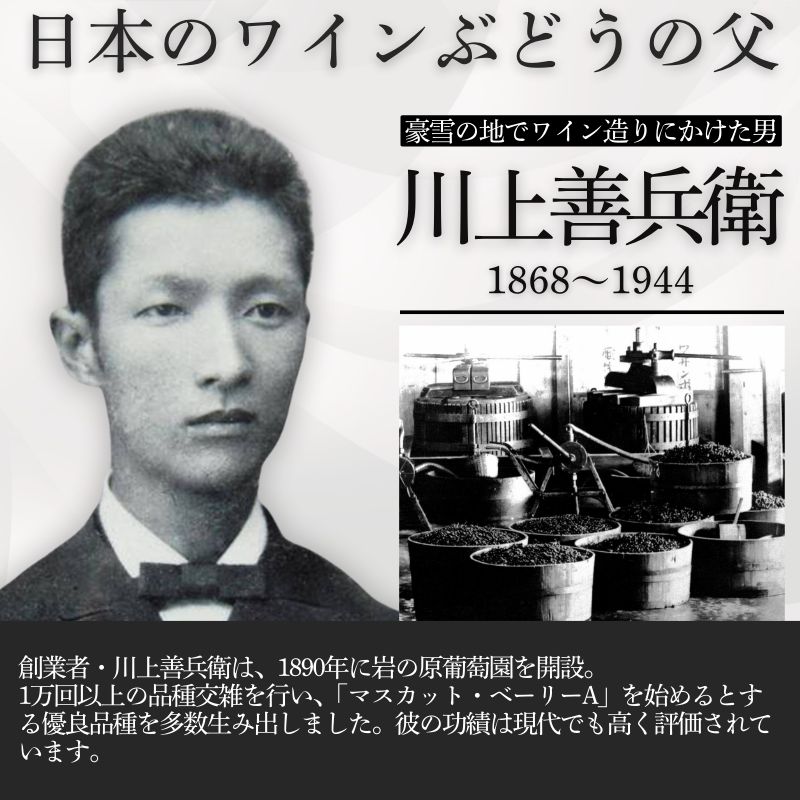 ワイン 岩の原ワイン 善兵衛品種 飲み比べ 5本 セット お酒 おすすめ 岩の原 ふるさと納税 酒 新潟 上越