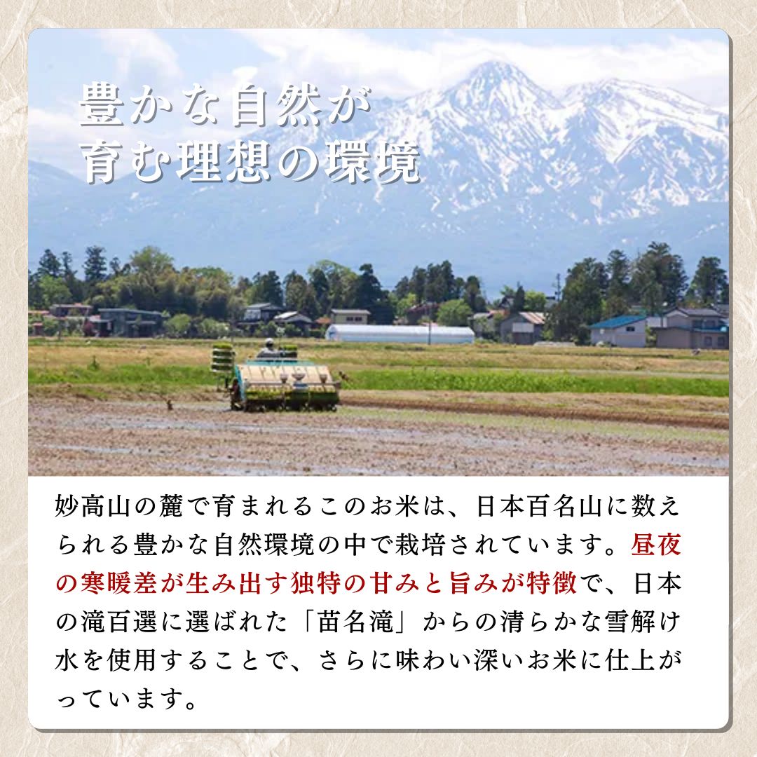 米 令和6年産 新潟県上越産「 みずほの輝き 」 白米 5kg お米 こめ ふるさと納税 新潟 新潟県産 上越