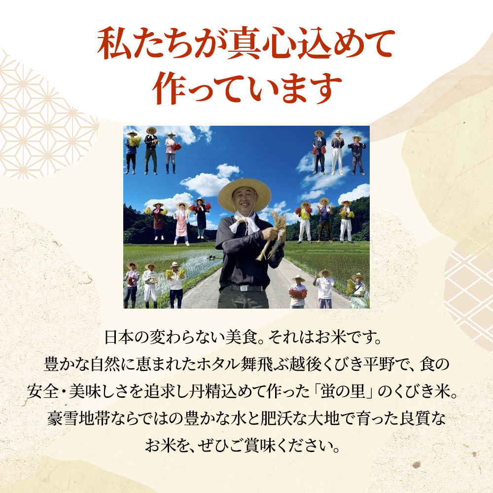 令和7年産 先行予約 新潟上越産コシヒカリ 5kg｜コシヒカリ 米 こしひかり こめ おすすめ 新潟 新潟県産 にいがた 上越 上越産