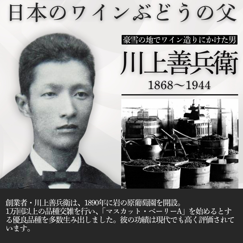 ワイン 岩の原ワイン 酸化防止剤無添加 3本セット 新潟 上越 甘口 辛口 11% 11.5% 12% お酒 アルコール