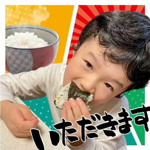 令和6年 新米 新潟県産コシヒカリ えちご上越米　定期便 【6ヶ月連続お届け】5kg×6回 30kg 新潟 米 新潟県 こしひかり 限定 おすすめ　定期便　お届け：寄附の入金の翌月より計6回、毎月中旬ごろに発送いたします。