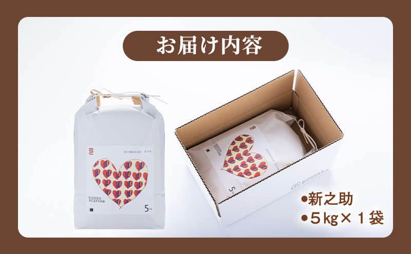 新米予約 令和7年 新潟県産 新之助 5kg 5キロ 上越市柿崎産 白米 精米 送料無料 KISHIDA RICE FARM お米のお山のふもとから 岸田米 新之助 （ぼくらのMaiMaiMaiバージョン）