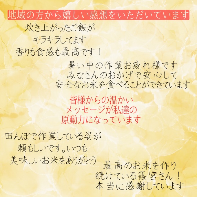 令和7年度産　上越市産コシヒカリ　5kg　新米　精米　新潟　米　新潟県　こしひかり　限定　おすすめ