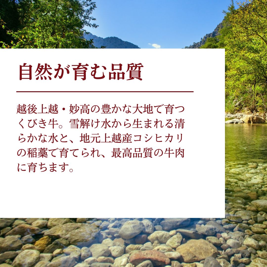 くびき牛　切り落とし500g　上越　牛肉