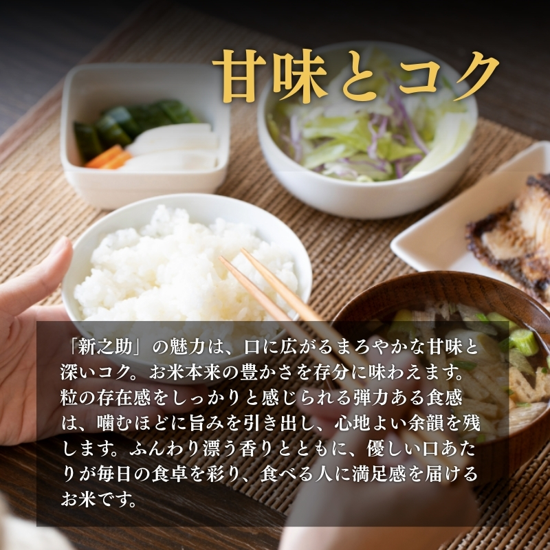 上越市産 新潟 新之助 2kg 3か月定期便 しんのすけ お米 精米 米 ご飯 定期