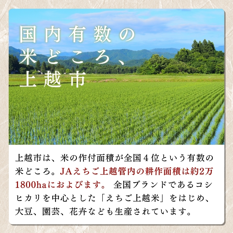【先行予約】令和7年 新米 新潟県産コシヒカリ えちご上越米　定期便 【6ヶ月連続お届け】5kg×6回 30kg 新潟 米 新潟県 こしひかり 限定 おすすめ