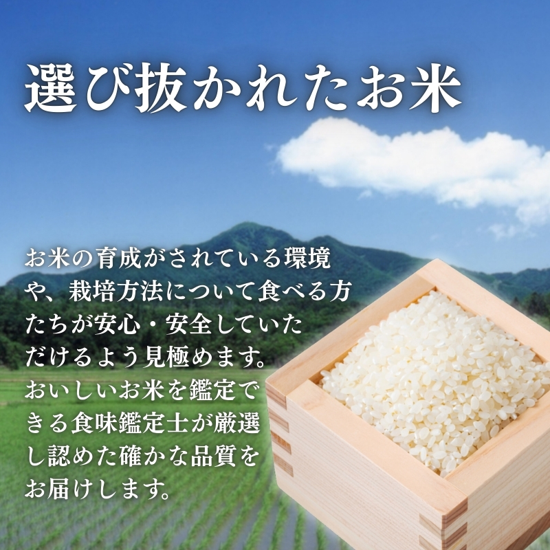 令和7年産 新潟県上越産こしひかり 精米 5kg 6か月定期便 上越市 米 コメ コシヒカリ