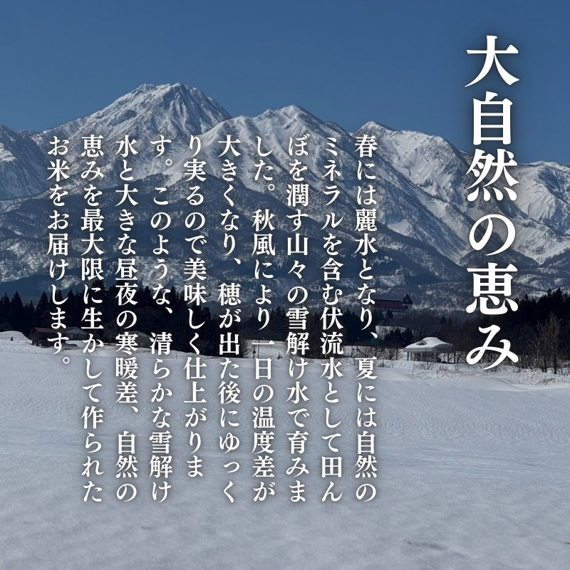 令和7年産 新潟県上越産こしひかり 精米 30kg 6か月定期便 上越市 米 コメ コシヒカリ