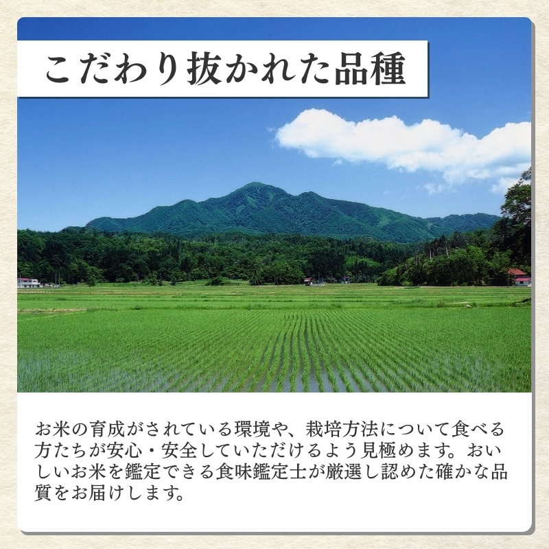 令和7年産 食味鑑定士厳選 新潟県産こしひかり 無洗米 10kg 6か月定期便 上越市 米 コメ コシヒカリ