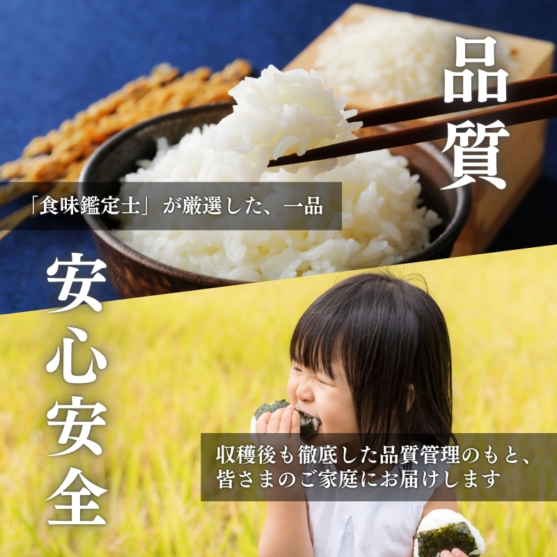 令和7年産 食味鑑定士厳選 新潟県上越柿崎区厳選 こしひかり 無洗米 5kg 3か月定期便 上越市 精米 米 コメ コシヒカリ ブランド米