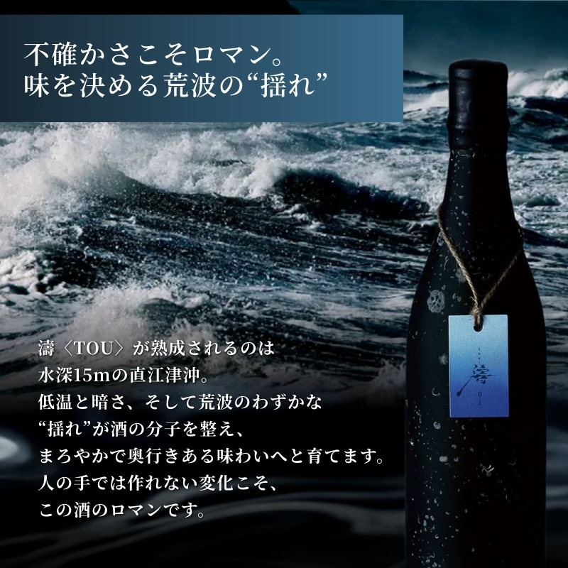 【ふるさと納税】【限定醸造】日本海の荒波が育んだ 海底熟成日本酒「濤〈TOU〉 01」（720ml）お酒 16度 希少品 限定 新潟 上越 ギフト 贈答 化粧箱入り 送料無料 シリアルあり 【チタン製おちょこ付】