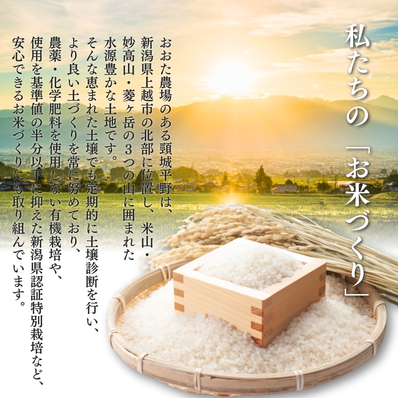 米 【令和7年産】 新潟県上越産 有機栽培米 コシヒカリ 【白米】 5kg 5キロ お米 こめ 白米 食品 人気 おすすめ にいがた 上越 上越産