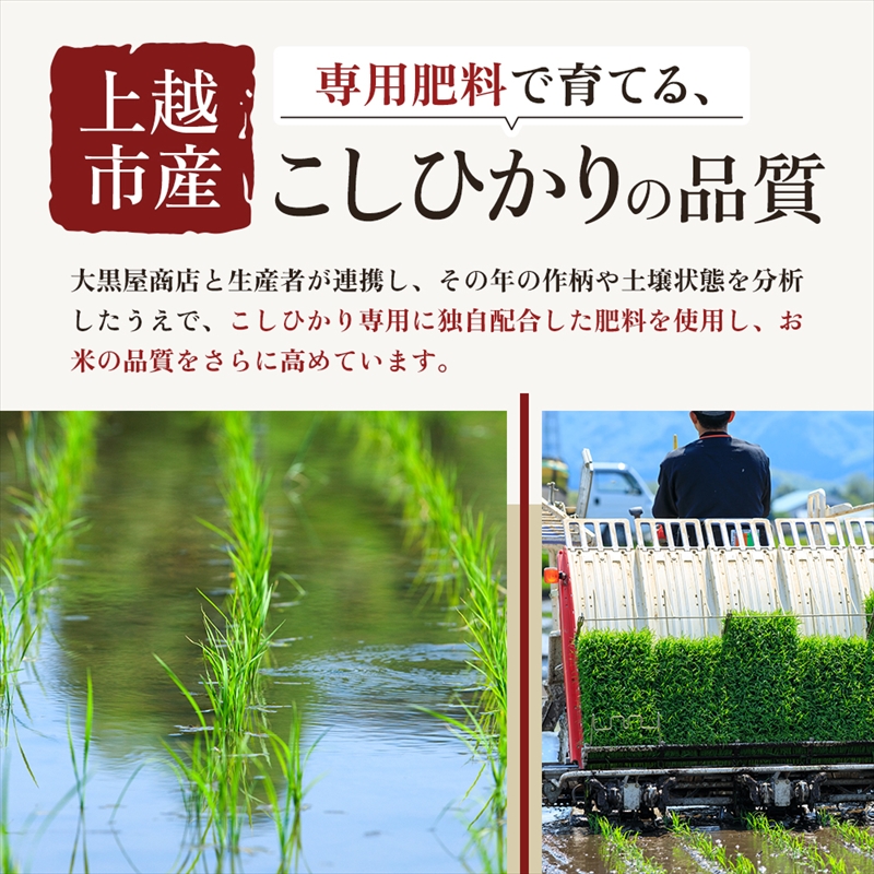 【3月上旬より配送】上越市産 新潟 コシヒカリ 5kg 3か月定期便 こしひかり お米 精米 米 ご飯 定期