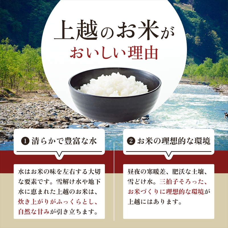 【3月下旬配送】上越市産 新潟 新之助 5kg しんのすけ お米 精米 米 ご飯