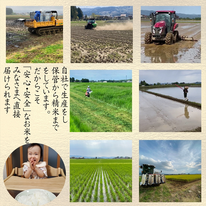 令和8年産　先行予約　上越市産コシヒカリ　5kg　新米　精米　新潟　米　こしひかり　新潟県　上越市　　限定　おすすめ　米ヴィレッジさんわ