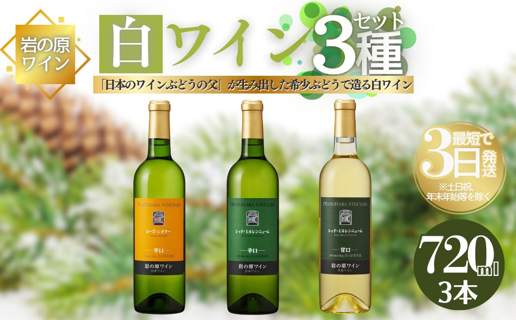 ワイン 岩の原ワイン 希少ぶどう品種 白 3本 セット お酒 おすすめ 岩の原 ふるさと納税 酒 新潟 上越