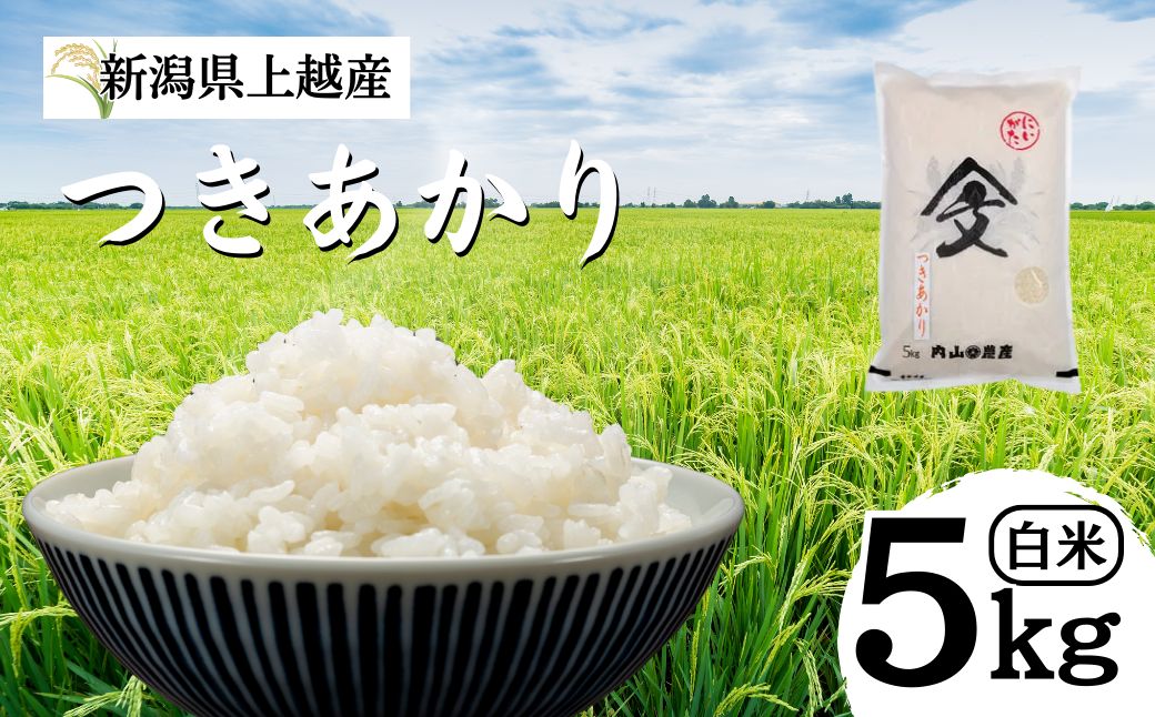 米 令和6年産 新潟県上越産「 つきあかり 」 白米 5kg ツキアカリ お米 こめ ふるさと納税 新潟 新潟県産