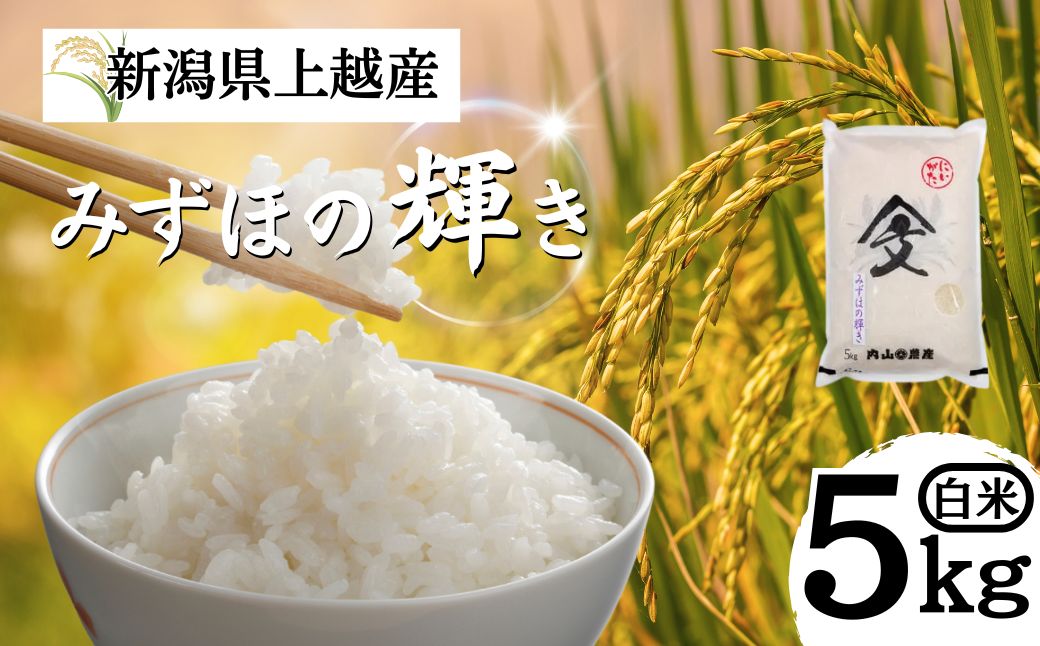 米 令和6年産 新潟県上越産「 みずほの輝き 」 白米 5kg お米 こめ ふるさと納税 新潟 新潟県産 上越