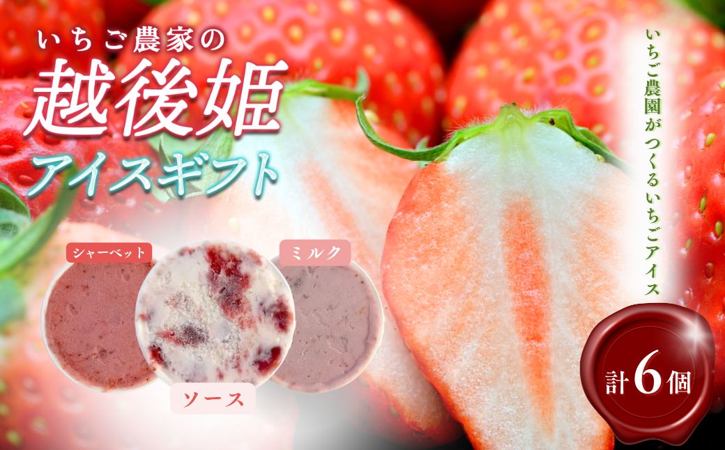 アイス 越後姫アイスギフト 6個 セット 越後姫 アイスクリーム ギフト 詰め合わせ 冷凍 新潟