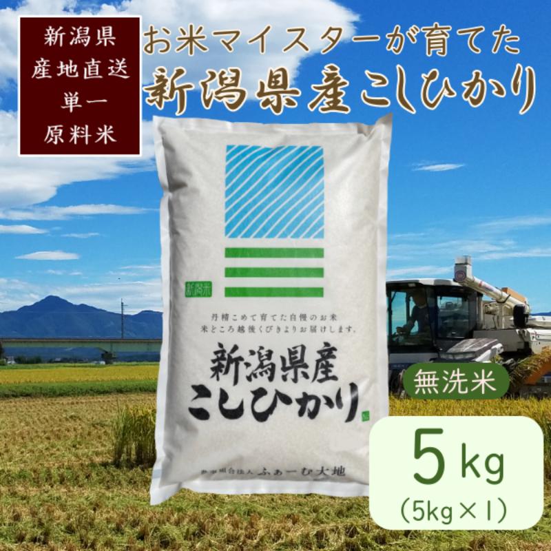 令和7年産 お米マイスターが育てた上越産コシヒカリ5kg(5kg×1)無洗米