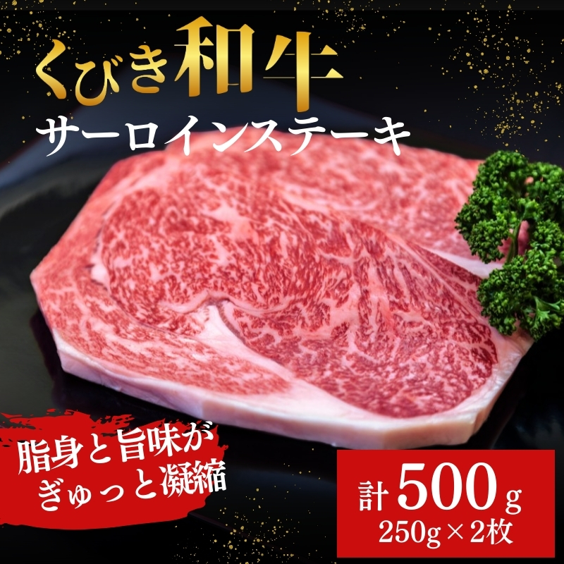 【にいがた和牛】くびき和牛　サーロインステーキ(250g×2枚)  上越市 牛肉 和牛