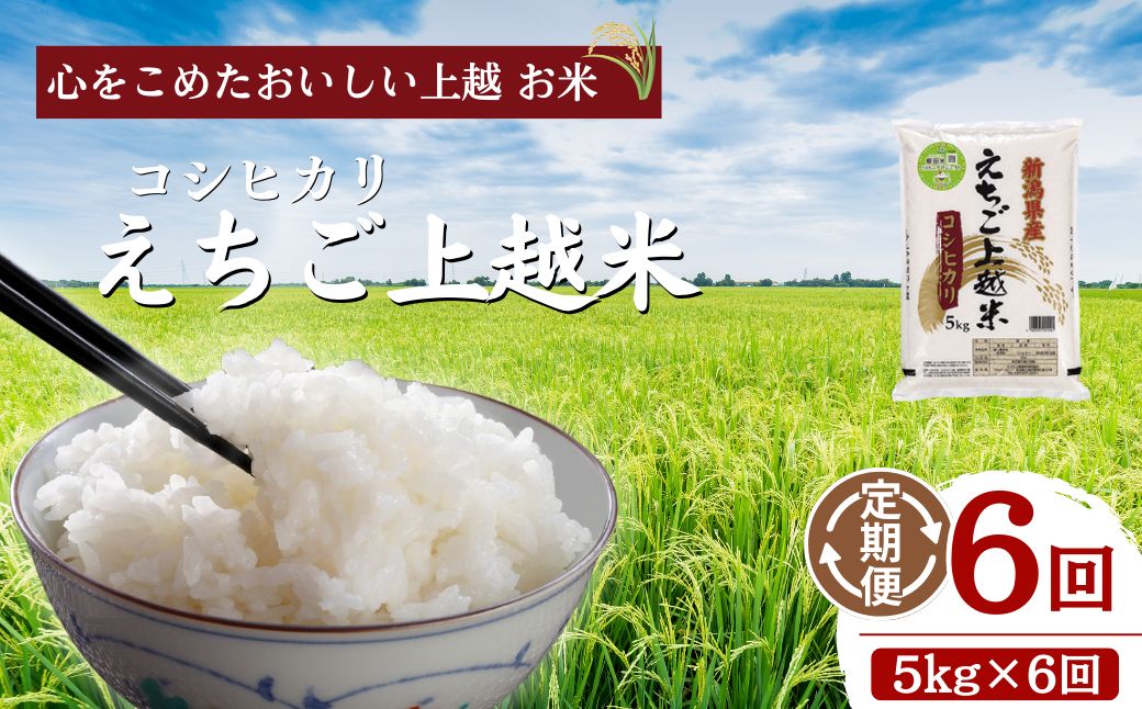 令和6年 新米 新潟県産コシヒカリ えちご上越米　定期便 【6ヶ月連続お届け】5kg×6回 30kg 新潟 米 新潟県 こしひかり 限定 おすすめ　定期便　お届け：寄附の入金の翌月より計6回、毎月中旬ごろに発送いたします。