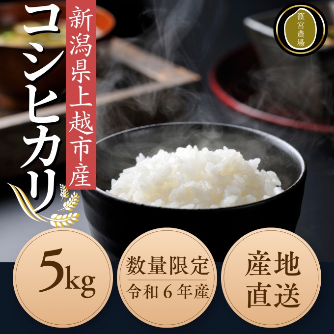 令和7年度産　上越市産コシヒカリ　5kg　新米　精米　新潟　米　新潟県　こしひかり　限定　おすすめ