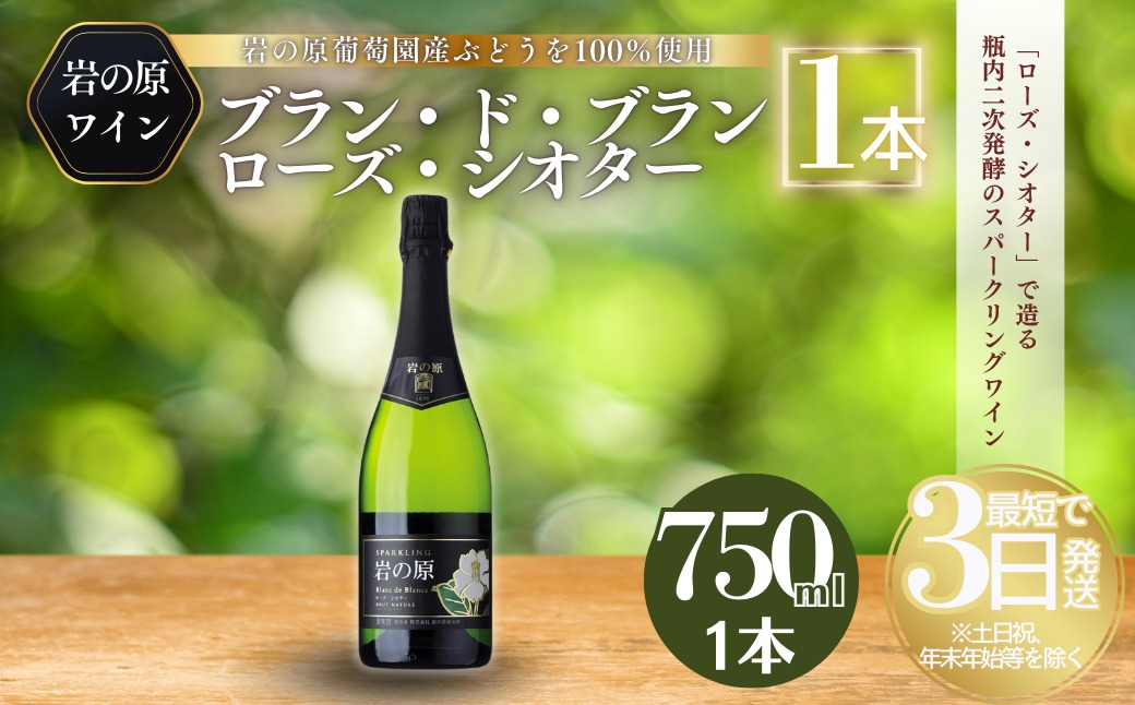 ワイン 岩の原スパークリングワイン ブラン・ド・ブラン ローズ・シオター（750ml） 酒 ギフト 新潟 上越