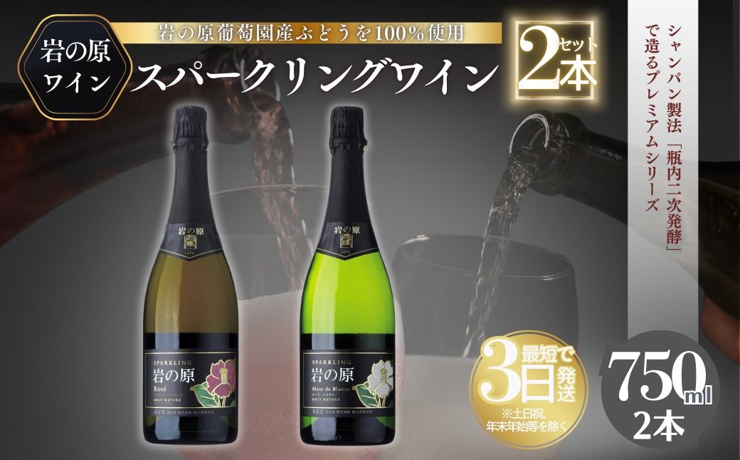 ワイン 岩の原スパークリングワイン 瓶内二次発酵２本セット （750ml） 酒 ギフト 新潟 上越