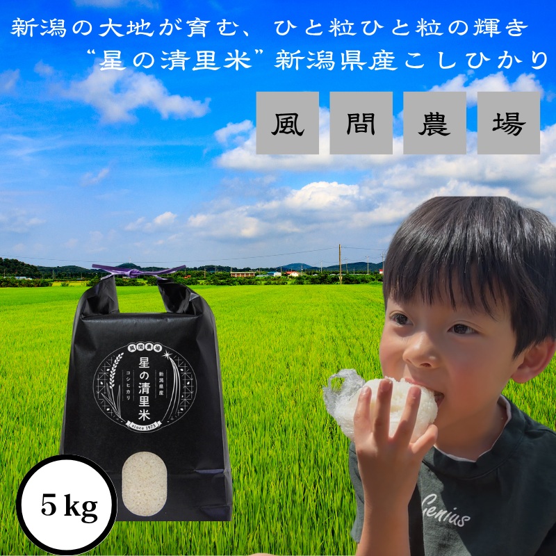 新米 令和7年 新潟県上越市産 従来 コシヒカリ 精米済5kg 5キロ こしひかり お米 米 精米 送料無料