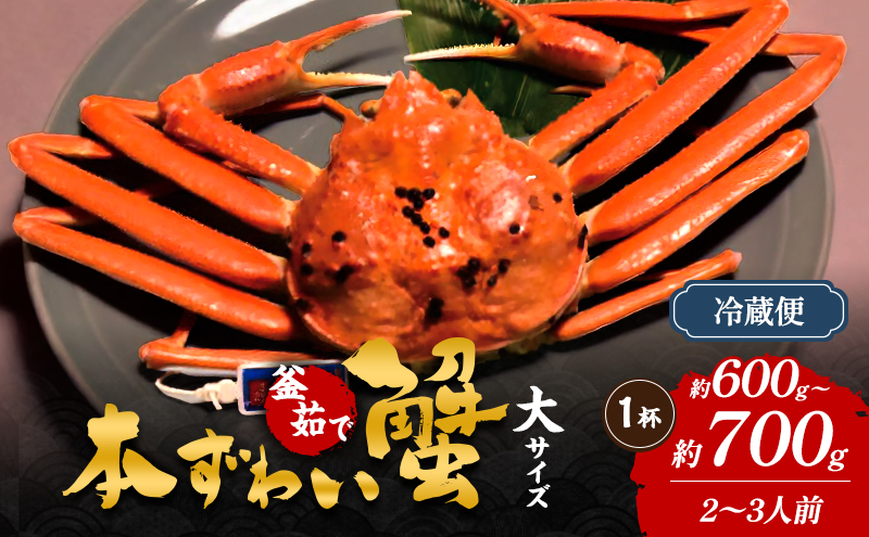 本ずわい蟹　大サイズ　約600g～700g×1杯 (2～3人前) カニ 蟹 釜茹で 冷蔵 新潟県 上越市