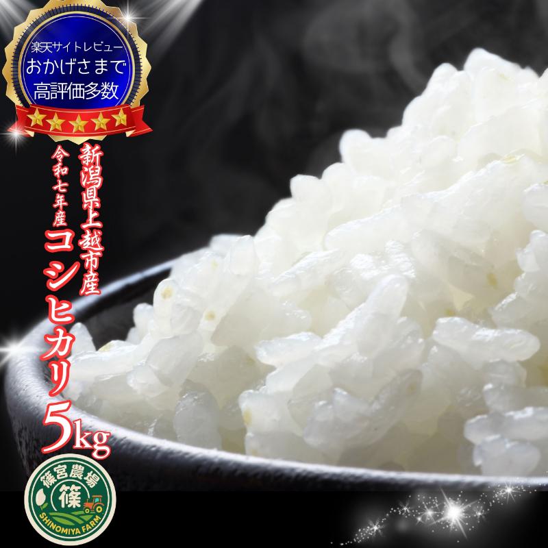 先行予約/令和7年産/上越市産/コシヒカリ/5kg/新米/精米/新潟/米/新潟県/こしひかり/限定/おすすめ