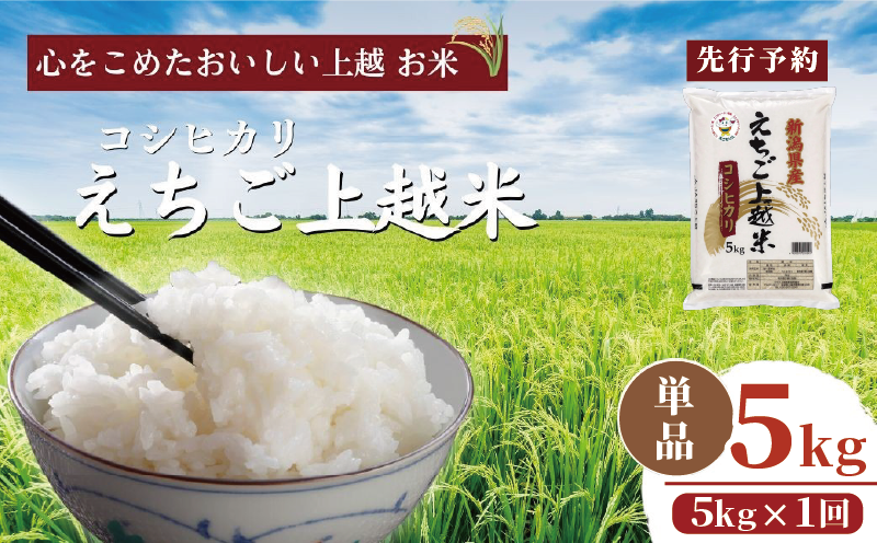 【先行予約】令和7年 新米 新潟県産コシヒカリ えちご上越米 5kg 新潟 米 新潟県 こしひかり 限定 おすすめ