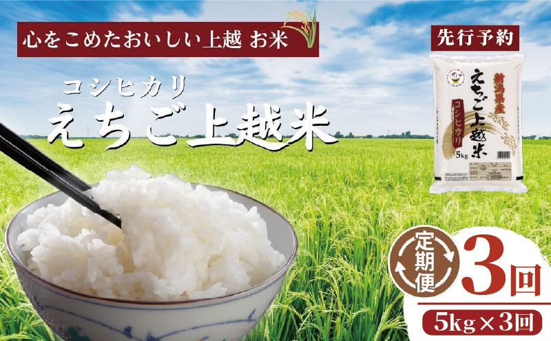 【先行予約】令和7年 新米 新潟県産コシヒカリ えちご上越米　定期便 【3ヶ月連続お届け】5kg×3回 15kg 新潟 米 新潟県 こしひかり 限定 おすすめ