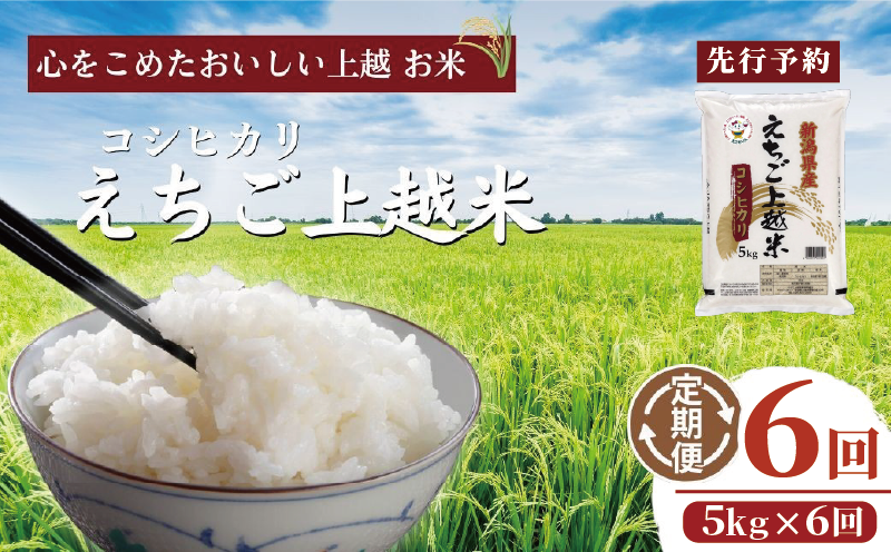 【先行予約】令和7年 新米 新潟県産コシヒカリ えちご上越米　定期便 【6ヶ月連続お届け】5kg×6回 30kg 新潟 米 新潟県 こしひかり 限定 おすすめ