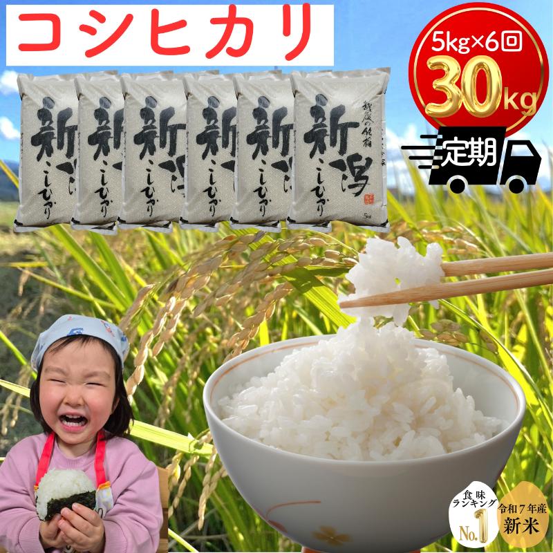 令和7年 新潟県産コシヒカリ 30kg 30キロ（5kg×6回） 定期便 （毎月発送） 米ヴィレッジさんわ 自社精米 米 白米 送料無料 限定