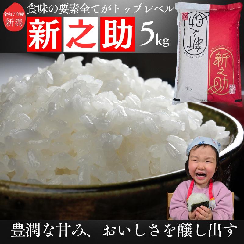 令和7年 新潟県産新之助 5kg 5キロ 白米 精米 送料無料 上越市 米ヴィレッジさんわ 低温貯蔵 品質管理徹底