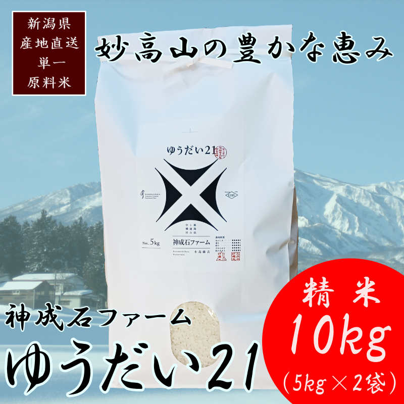標高200mで育てた棚田米|令和7年・新潟県上越産・ゆうだい21精米10kg(5kg×2袋)　白米  お米 こめ おすすめ ふるさと納税 新潟 新潟県産 にいがた 上越 上越産