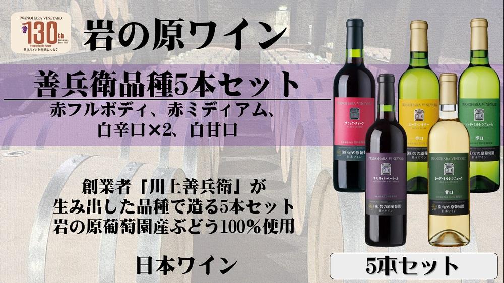 岩の原ワイン 善兵衛品種飲み比べ 5本セット: 上越市ANAのふるさと納税