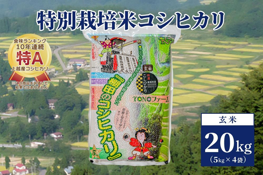 20セット限定】令和5年産 新潟上越清里産 特別栽培米コシヒカリ20kg