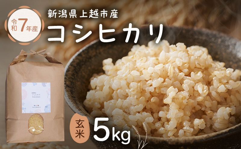 新潟県特別栽培農作物 玄米 新潟県上越市産 横山農園 コシヒカリ 令和7年産 5kg（5kg×1袋）こしひかり お米 ご飯 送料無料