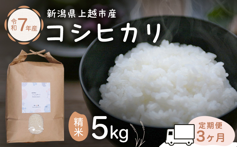 定期便 3ヶ月 米 新潟県上越市産 横山農園 コシヒカリ 令和7年産 5kg（5kg×1袋）毎月3回配送 こしひかり お米 精米 米 ご飯 送料無料