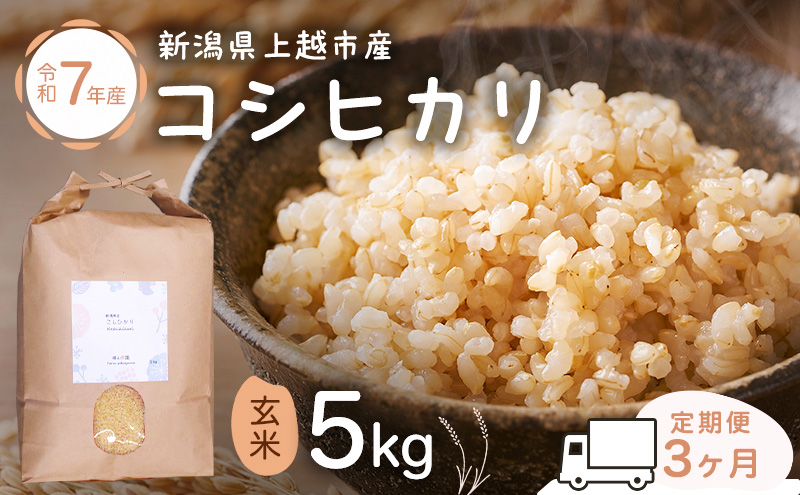 新潟県特別栽培農作物 定期便 3ヶ月 玄米 新潟県上越市産 横山農園 コシヒカリ 令和7年産 5kg（5kg×1袋）毎月3回配送 こしひかり お米 ご飯 送料無料