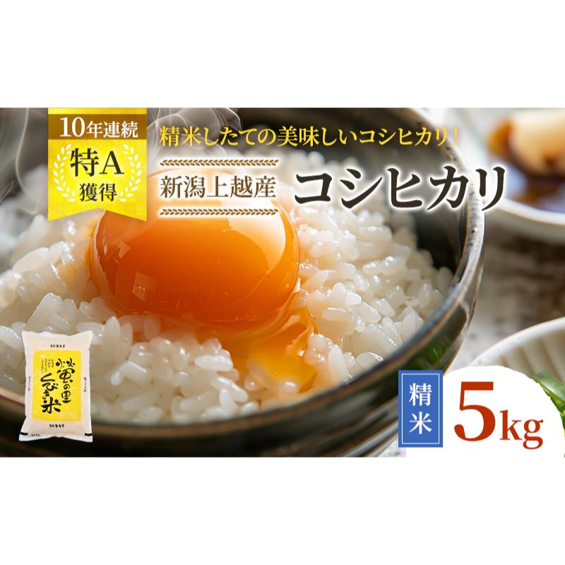 【令和8年4月下旬配送】令和7年産 新潟上越産 コシヒカリ 5kg こしひかり 精米したて！ 新潟県 上越市 蛍の里