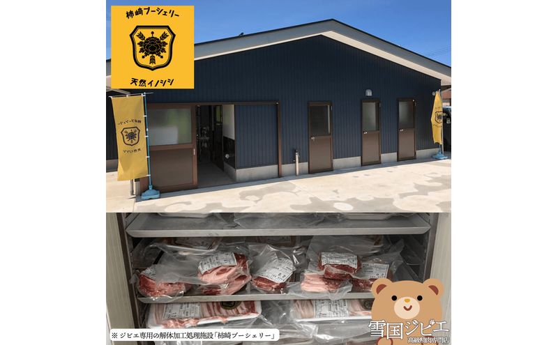 【雪国ジビエ】雪国イノシシ サルシッチャ 200g 肉 イノシシ 猪 猪肉 新潟 新潟県産