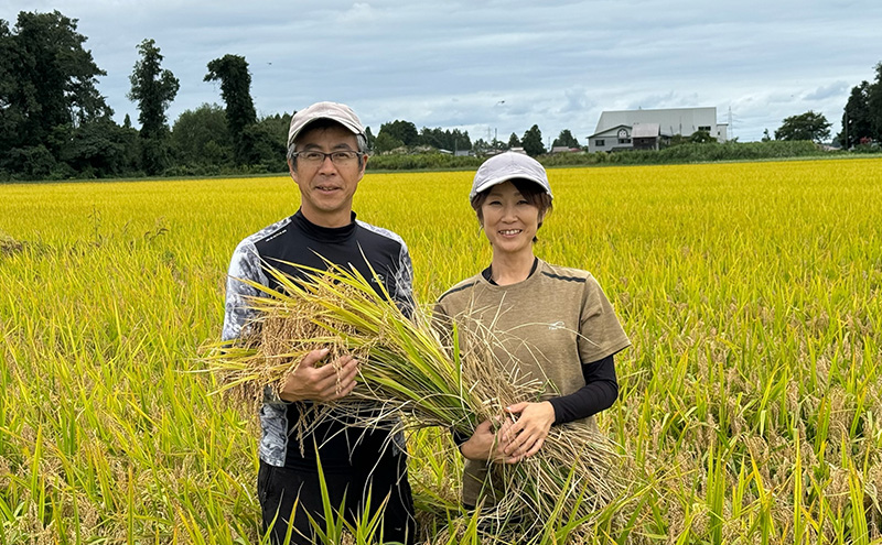 令和7年 新潟県産コシヒカリ 特別栽培米 5kg 5キロ 上越市 三和区神田 富永農産 有機肥料、自家製たい肥を使用し米つくり 送料無料