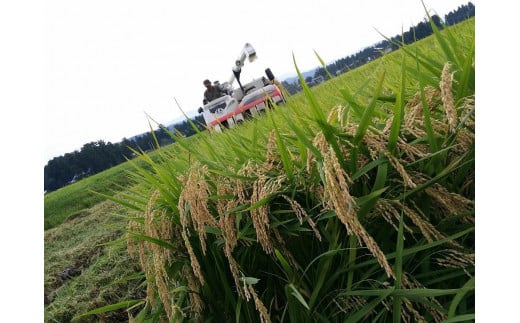 令和7年 新潟県産コシヒカリ アイガモ農法 玄米 10kg 10キロ（5kg×2） JAS有機栽培米 上越市 三和区神田 富永農産 送料無料 安全・安心こしひかり