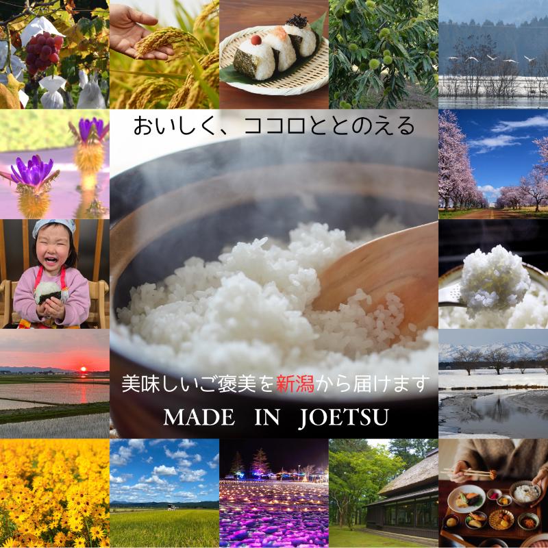 令和7年 新潟県産みずほの輝き 30kg 30キロ（5kg×6回） 定期便 （毎月発送） 米ヴィレッジさんわ 自社精米 米 白米 送料無料 上越市で生まれたオリジナル ブランド米 限定