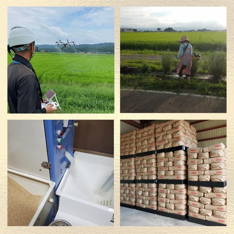 令和7年 新潟県産みずほの輝き 30kg 30キロ（5kg×6回） 定期便 （毎月発送） 米ヴィレッジさんわ 自社精米 米 白米 送料無料 上越市で生まれたオリジナル ブランド米 限定